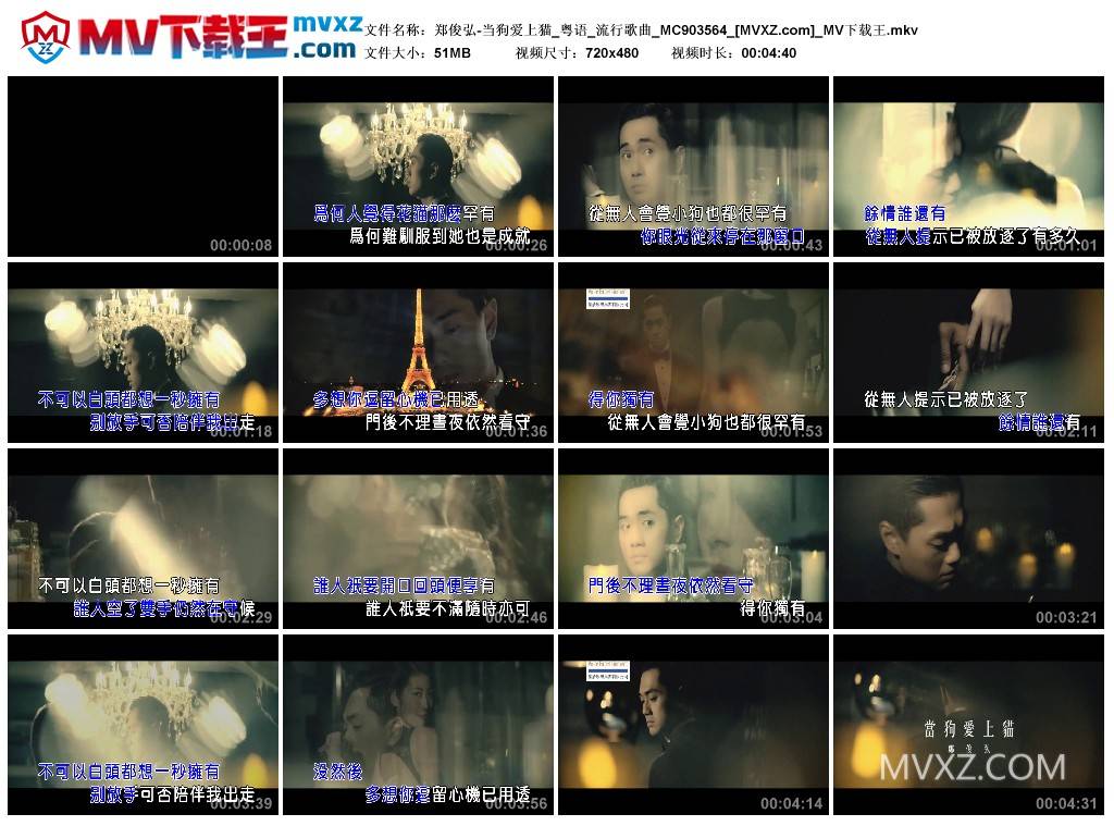 郑俊弘-当狗爱上猫_粤语_流行歌曲_MC903564